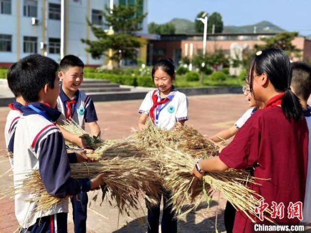 kaiyun山东各地打造“阳光体育大课间”让学生“撒欢儿”动起来(图8)