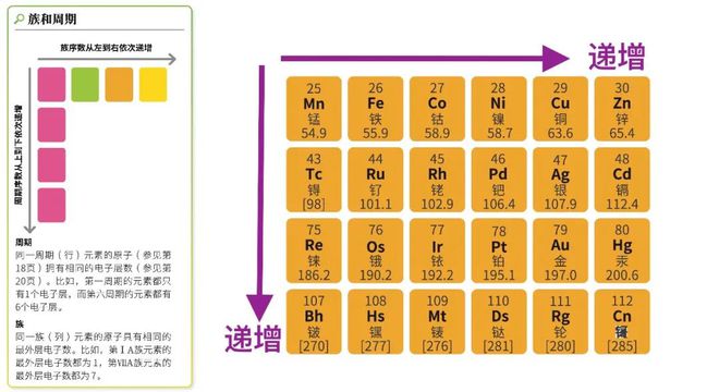 买到即kaiyun网站赚到！DK科普合辑来了到手的都是限时折扣价…(图10)