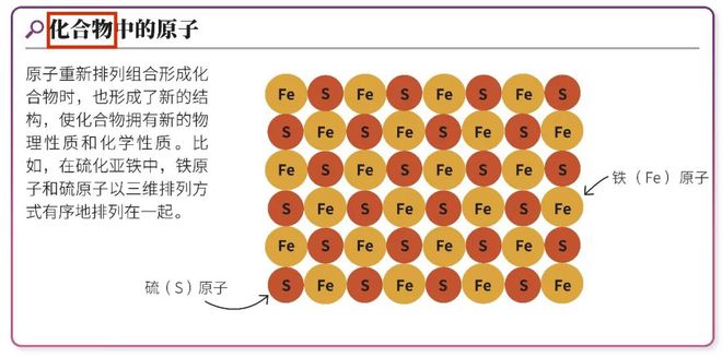 买到即kaiyun网站赚到！DK科普合辑来了到手的都是限时折扣价…(图13)