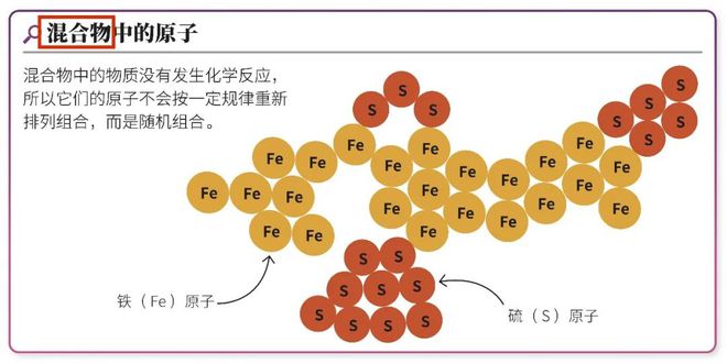 买到即kaiyun网站赚到！DK科普合辑来了到手的都是限时折扣价…(图12)