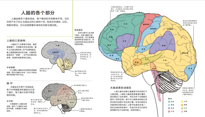 买到即kaiyun网站赚到！DK科普合辑来了到手的都是限时折扣价…(图17)