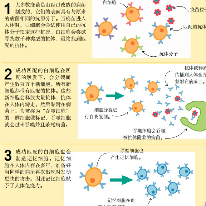 买到即kaiyun网站赚到！DK科普合辑来了到手的都是限时折扣价…(图20)